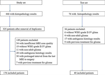 Predictive Role of the Apparent Diffusion Coefficient and MRI Morphologic Features on IDH Status in Patients With Diffuse Glioma: A Retrospective Cross-Sectional Study